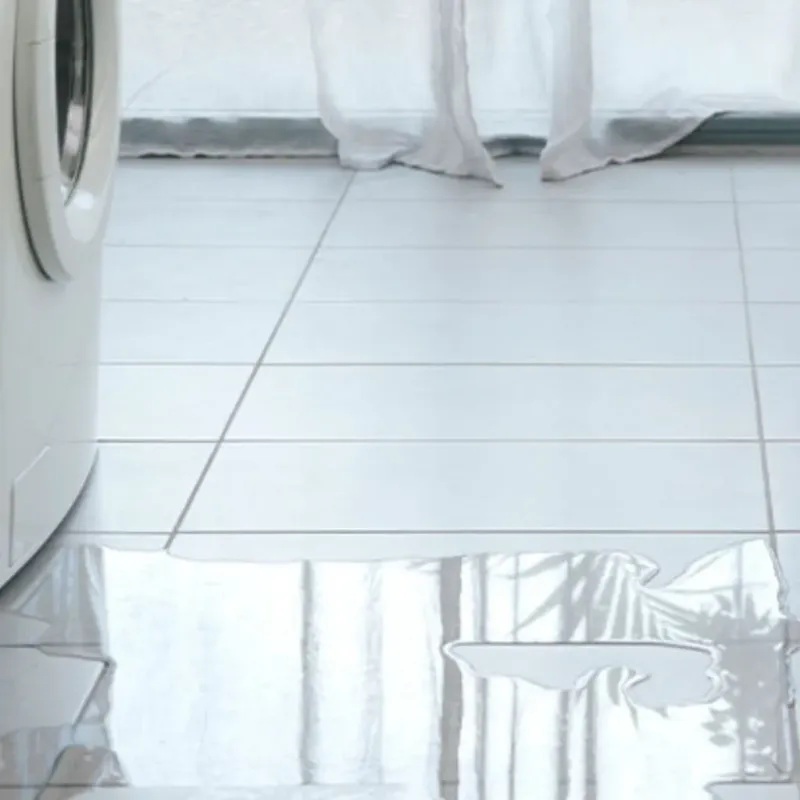 Appliance Leak Cleanup in Bethel, NC