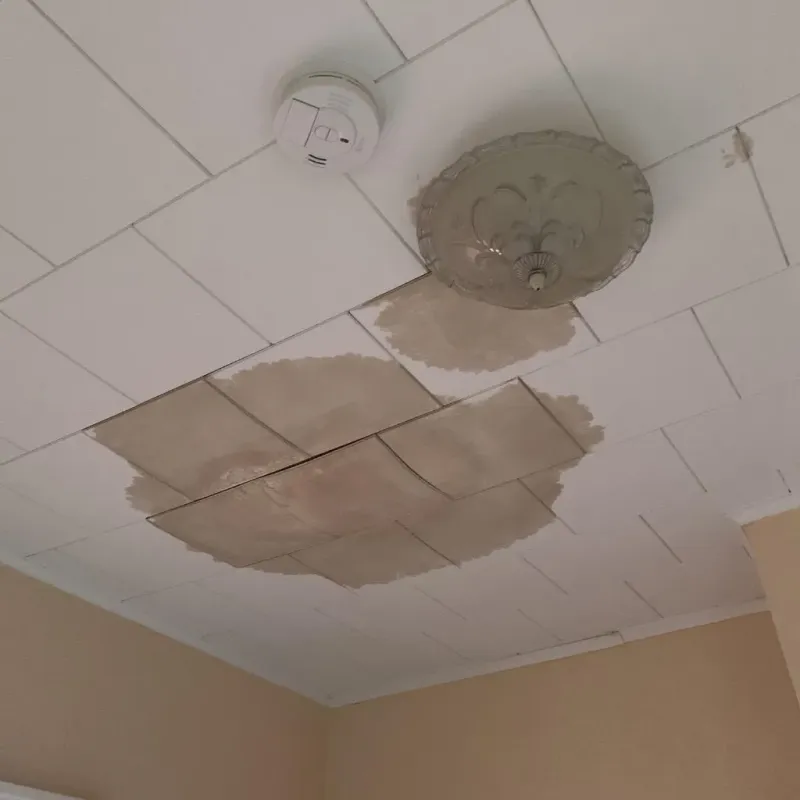 Ceiling Water Damage Repair in Bethel, NC