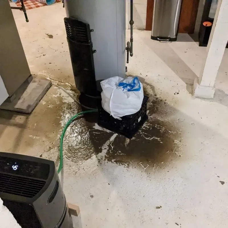 Sewage Backup Cleanup Service in Bethel, NC